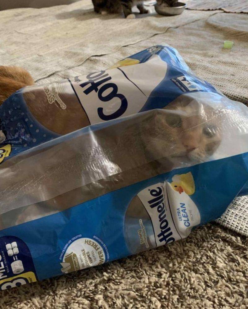 reddit.com/MollyandEmmett